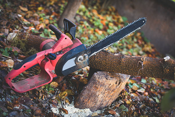 Best Pest Control for Lawns  in Spring City, PA